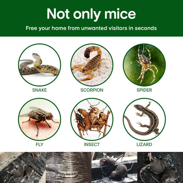 Supertehokas itseliimautuva hiirenloukku
